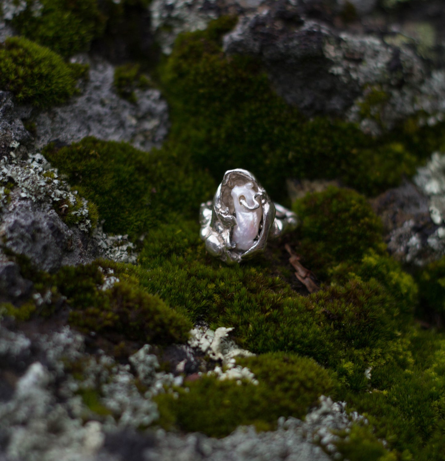 Oyster Dreams